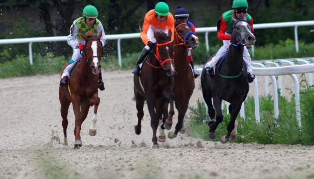 競馬場の楽しみ方