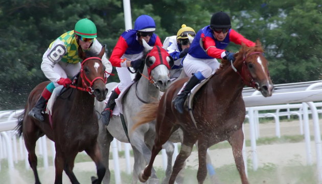 競馬に関するエンタメ情報