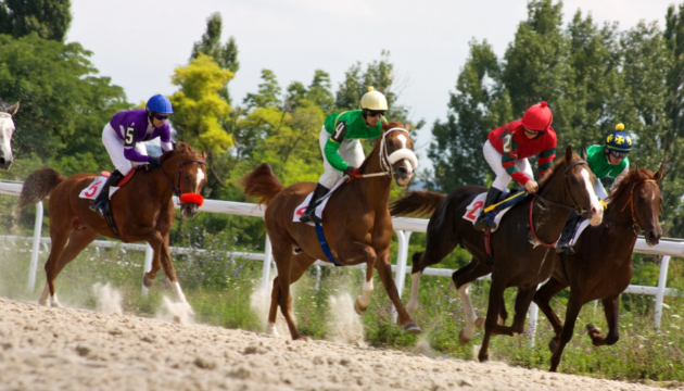 競馬を通じた新しい趣味の発見