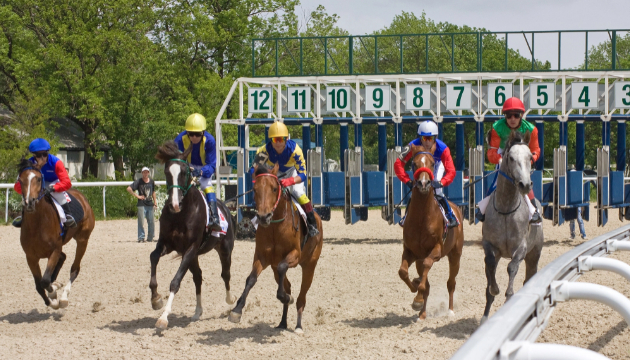 競馬場デートの潜在ニーズに応える情報