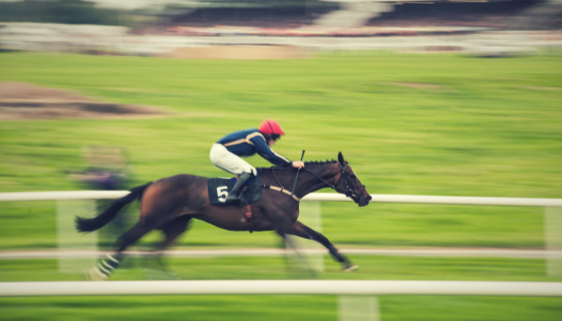 競馬初心者に向けたアドバイス